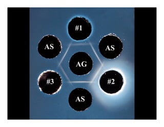 #1

AS        AS

     AG

#3        #2

     AS
 