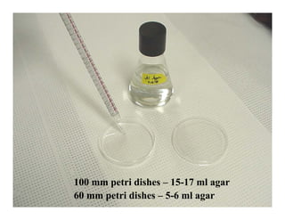 100 mm petri dishes – 15-17 ml agar
60 mm petri dishes – 5-6 ml agar
 