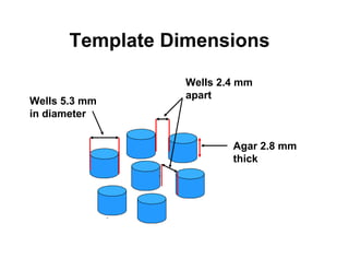 Template Dimensions

                  Wells 2.4 mm
                  apart
Wells 5.3 mm
in diameter


                          Agar 2.8 mm
                          thick
 