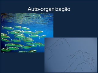 Auto-organização
 