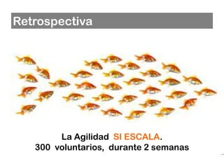 Retrospectiva




        La Agilidad SI ESCALA.
   300 voluntarios, durante 2 semanas
 