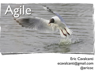 Agile


                Eric Cavalcanti
        ecavalcanti@gmail.com
                      @ericoc
 