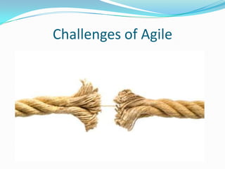 Challenges of Agile
 