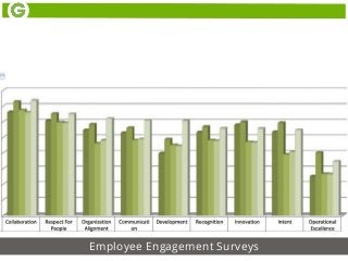 Employee Engagement Surveys
 