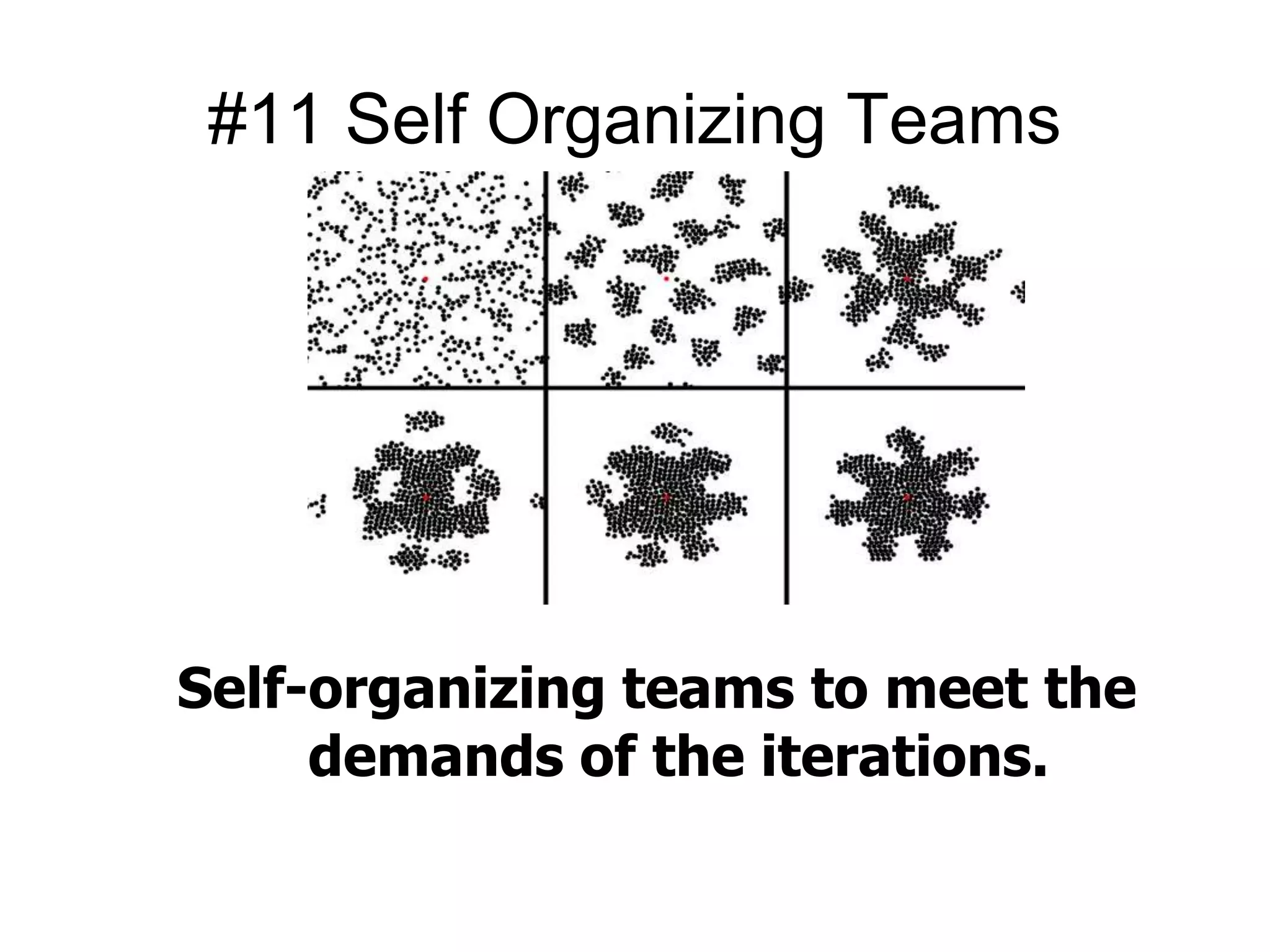 #11 Self Organizing Teams 
Self-organizing teams to meet the 
demands of the iterations. 
 