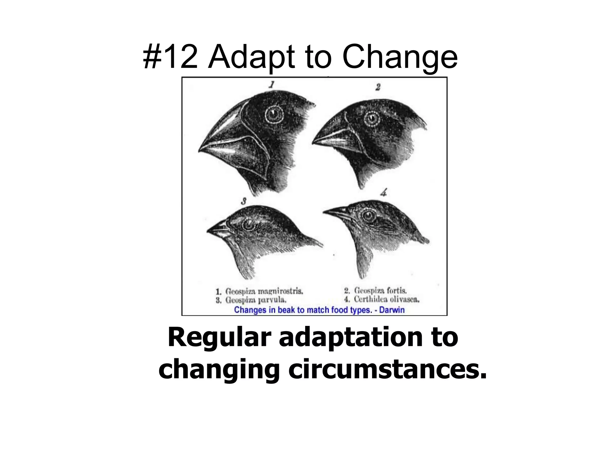 #12 Adapt to Change 
Regular adaptation to 
changing circumstances. 
 