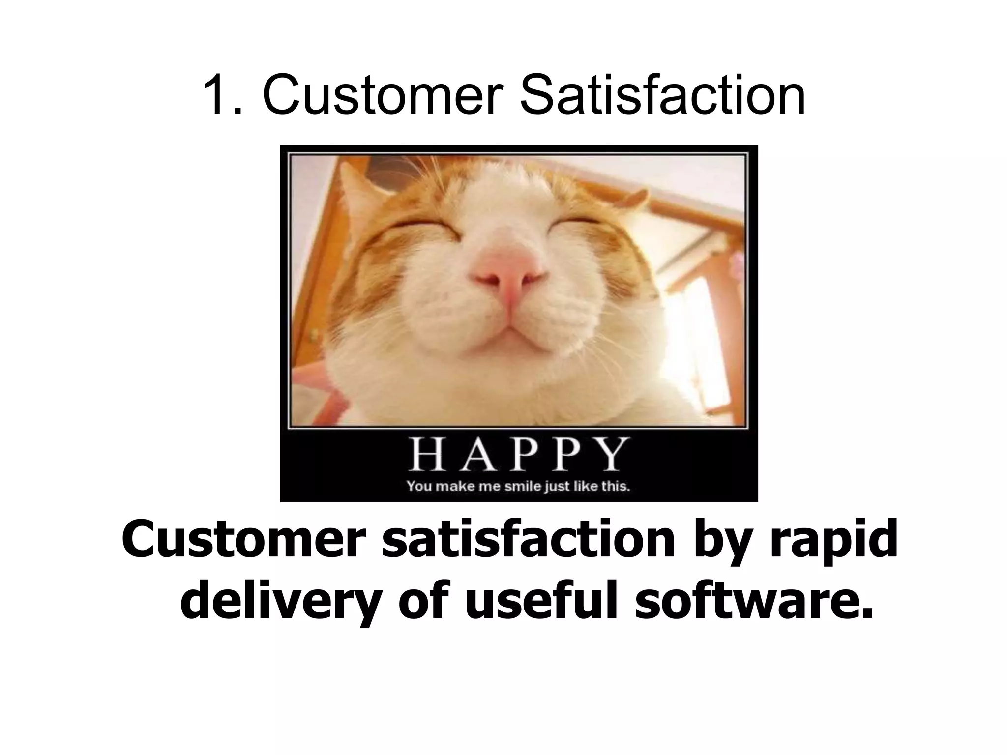 1. Customer Satisfaction 
Customer satisfaction by rapid 
delivery of useful software. 
 