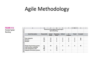 Agile Methodology
 
