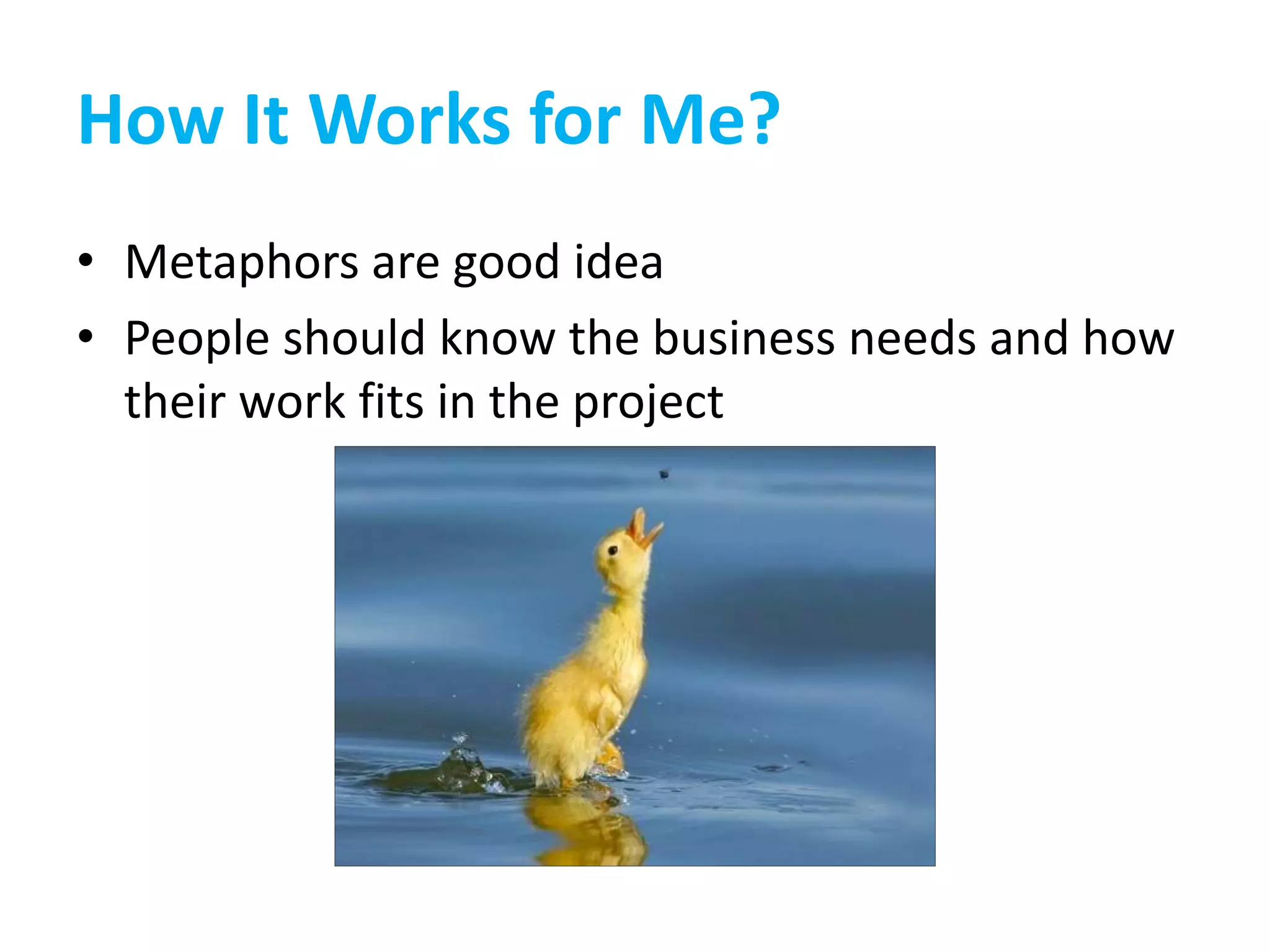 How It Works for Me?
• Metaphors are good idea
• People should know the business needs and how
their work fits in the project
 