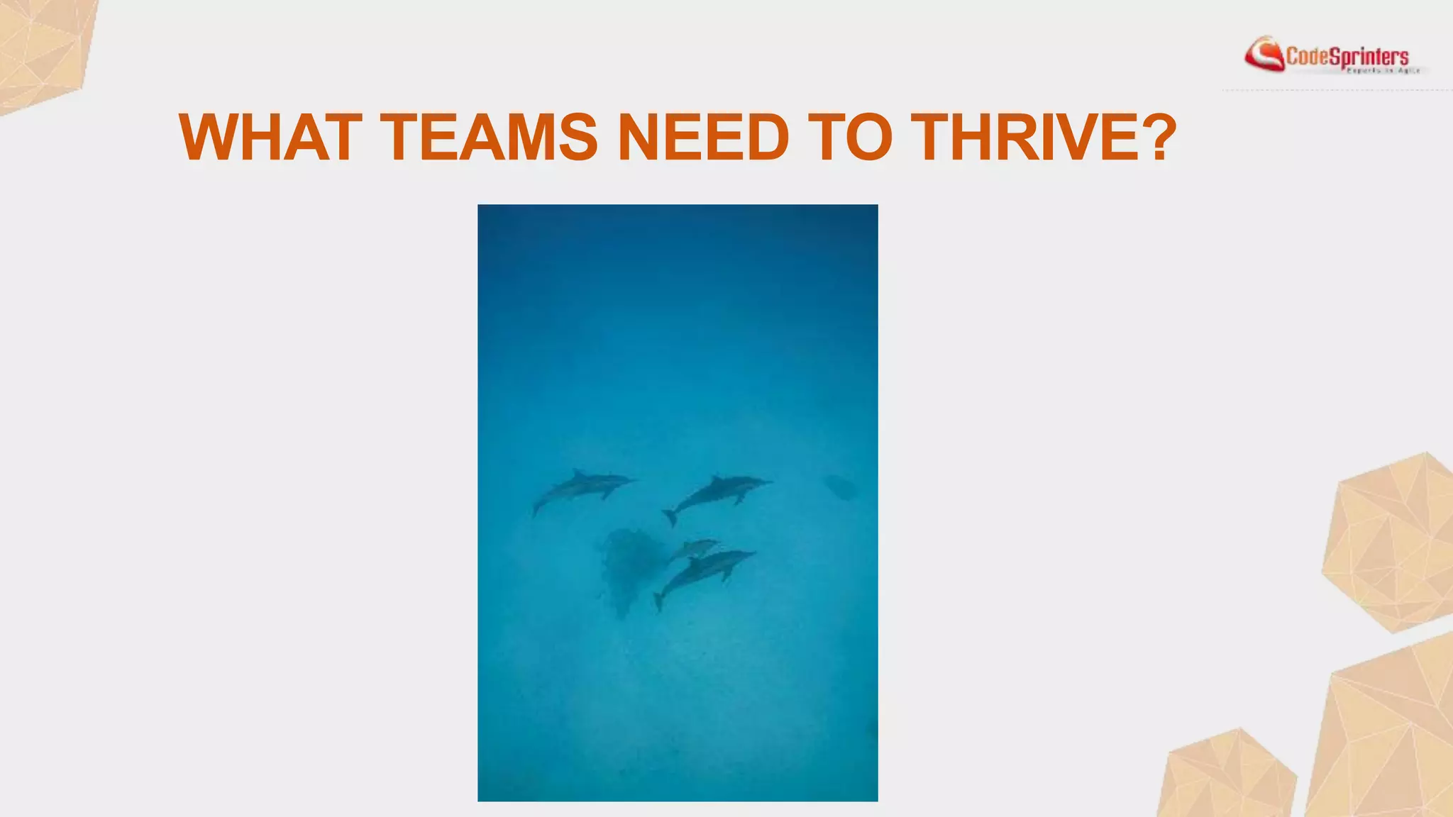 WHAT TEAMS NEED TO THRIVE?
 