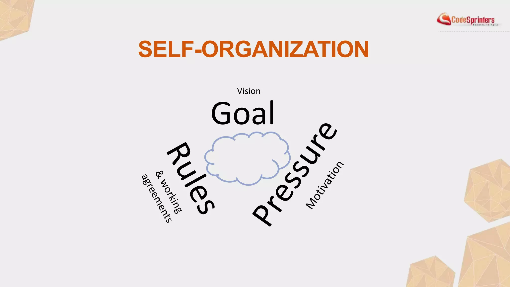 SELF-ORGANIZATION
Goal
Vision
 
