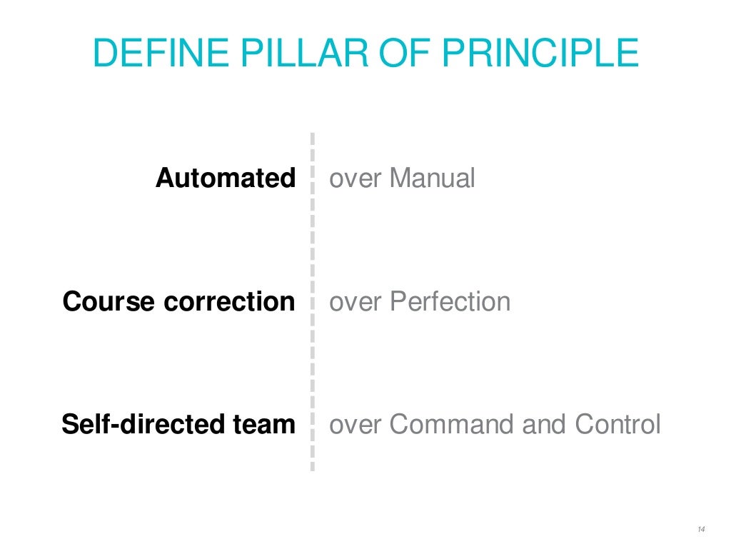 DEFINE PILLAR OF PRINCIPLE 14