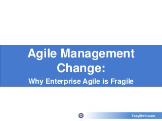 TobyElwin.com
Agile Management
Change:
Why Enterprise Agile is Fragile
 