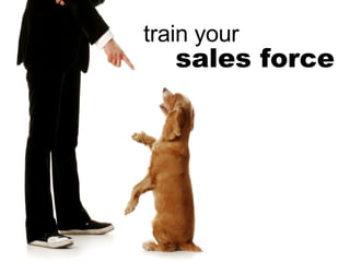 sales force train your 