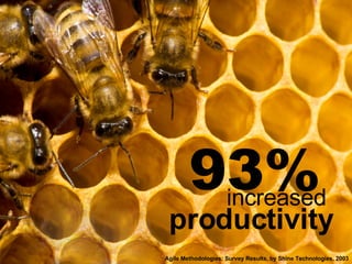 Agile Methodologies: Survey Results, by Shine Technologies, 2003 productivity 93% increased 