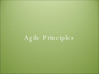Agile Principles 