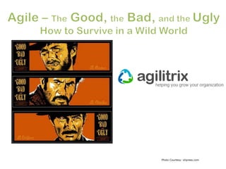 Agile – The Good, the Bad, and the Ugly How to Survive in a Wild World Photo Courtesy: ohpress.com 