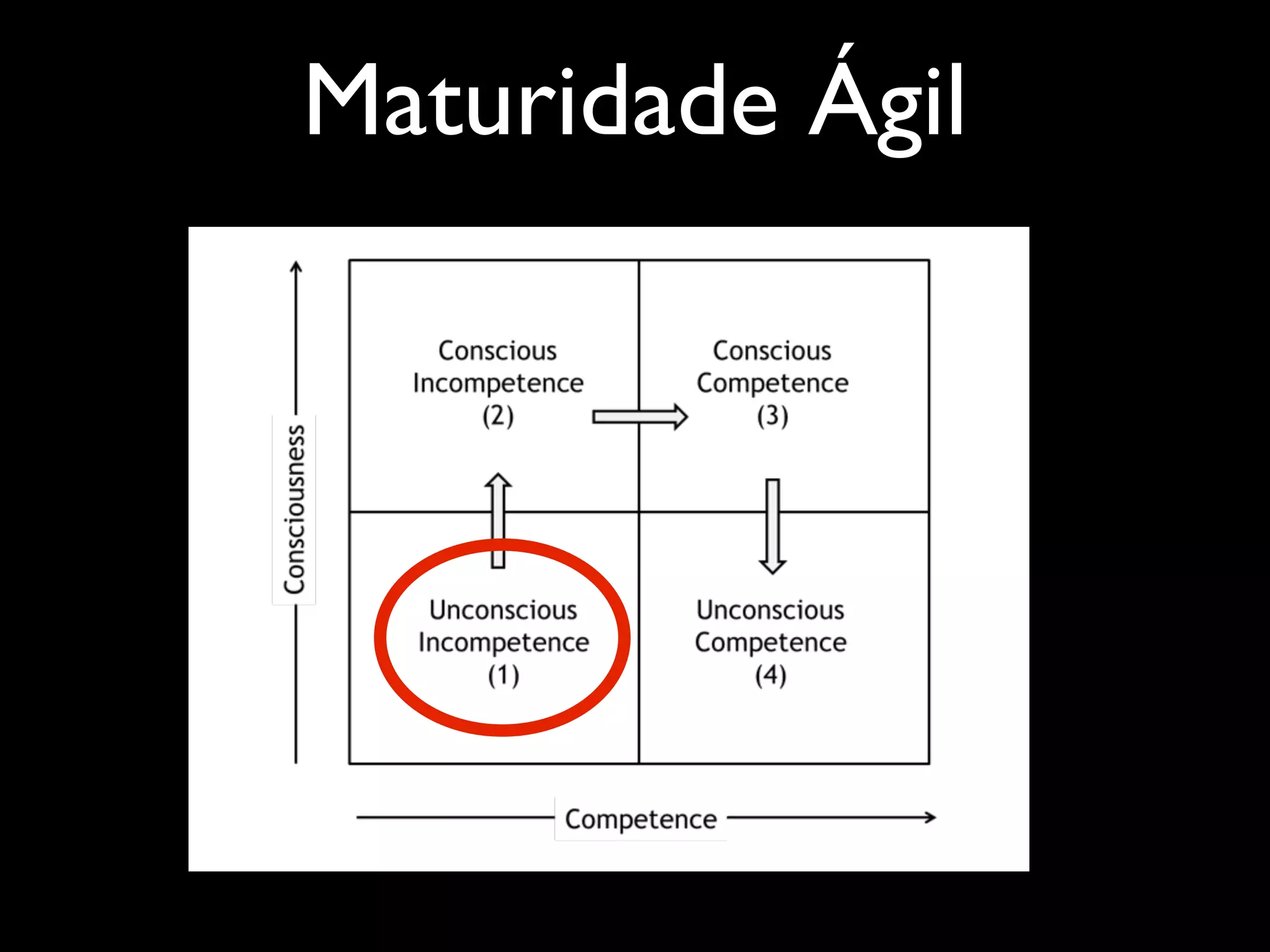 Maturidade Ágil

 