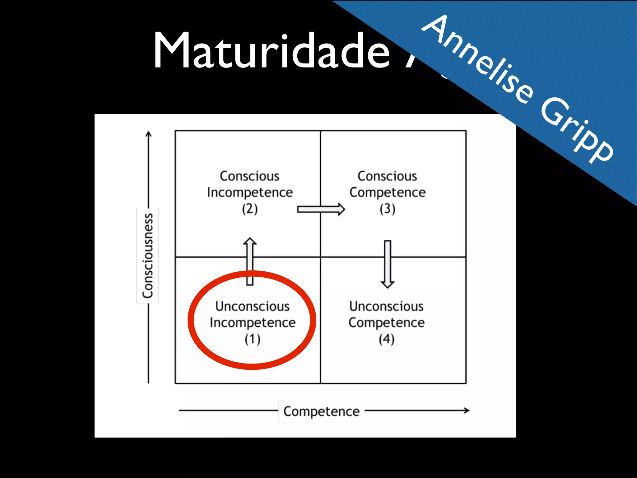 Maturidade

An

ne
Ágillis
e

Gr

ipp

 