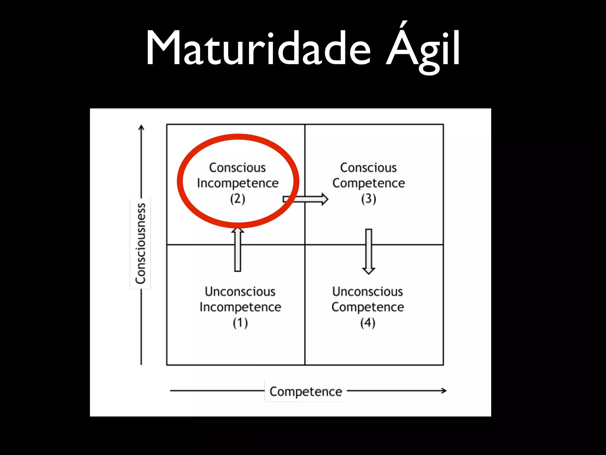 Maturidade Ágil

 