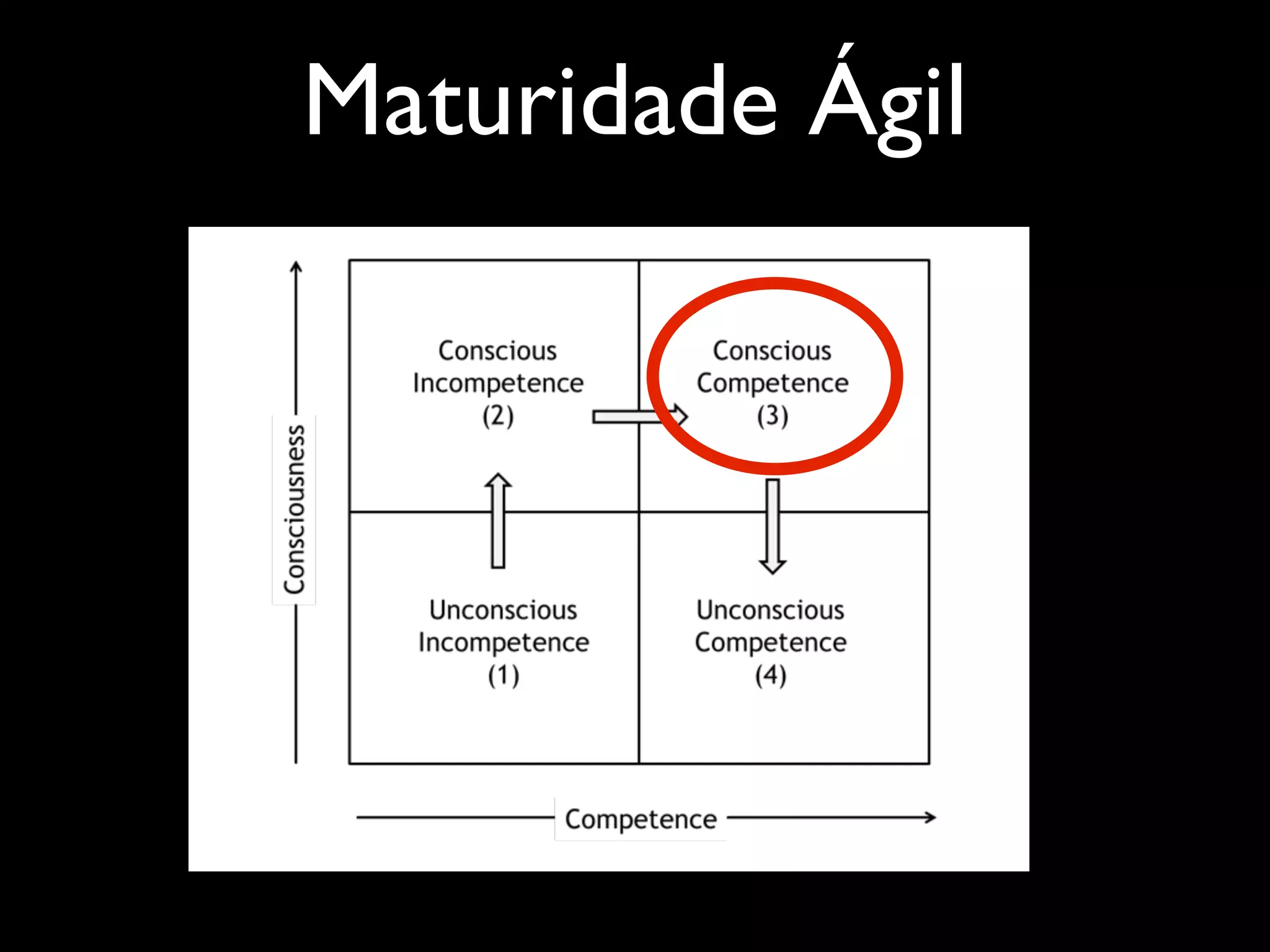 Maturidade Ágil

 