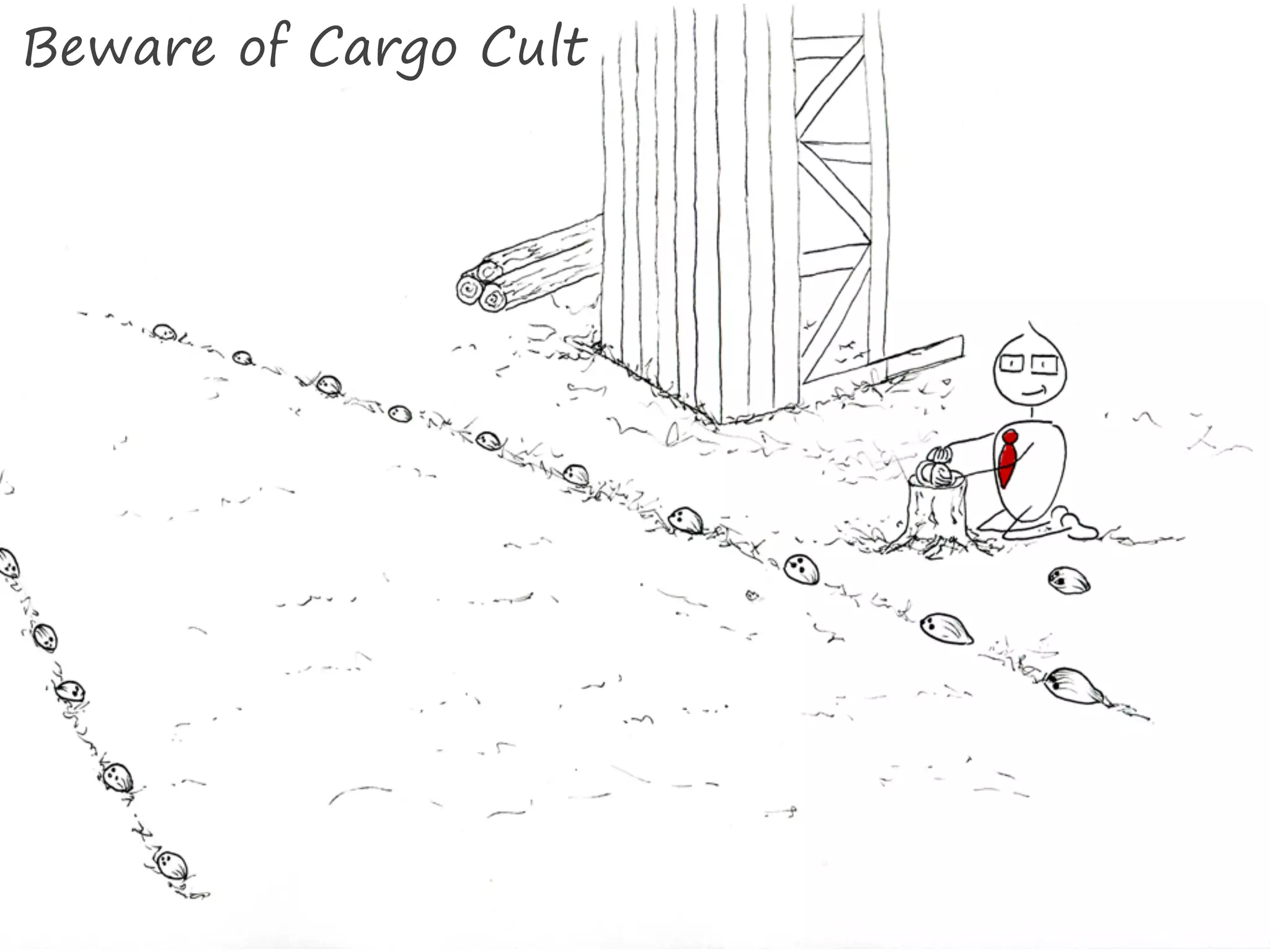 Beware of Cargo Cult
 
