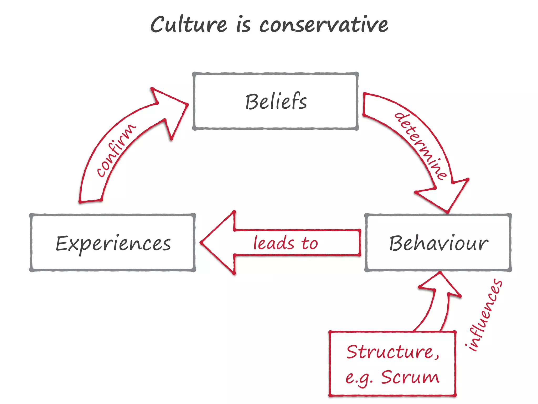 Structure,
e.g. Scrum
influences
Behaviour
Beliefs
Experiences
determ
ine
confirm
leads to
Culture is conservative
 