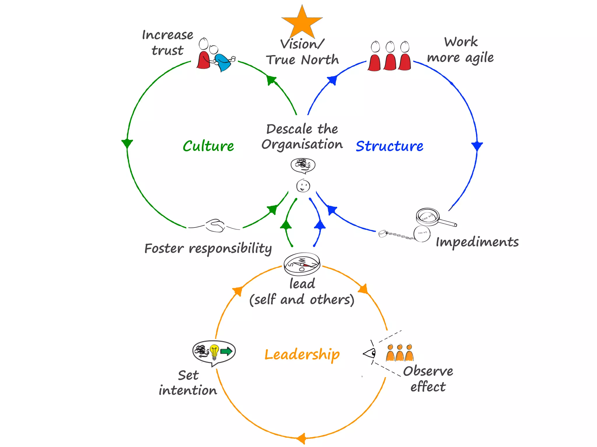 Descale the  
Organisation
Impediments
Work
more agile
Increase  
trust
Foster responsibility
Culture Structure
Leadership
lead
(self and others)
Vision/
True North
Observe  
effect
Set
intention
 