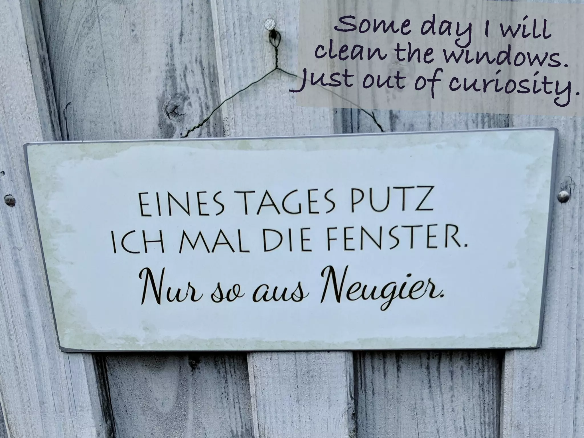 Some day I will
clean the windows.
Just out of curiosity.
 