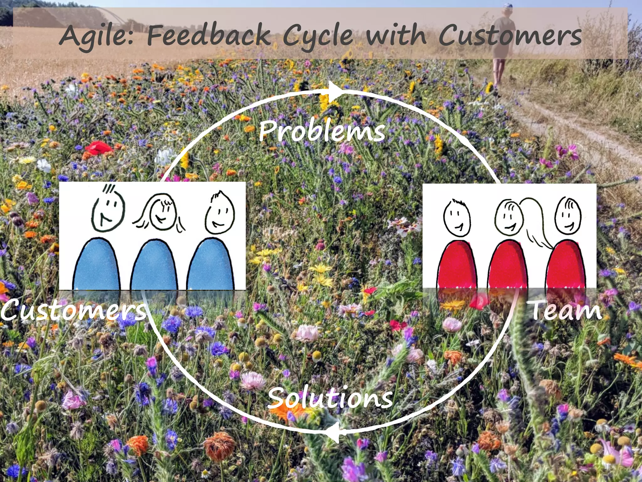 Solutions
Problems
TeamCustomers
Agile: Feedback Cycle with Customers
 