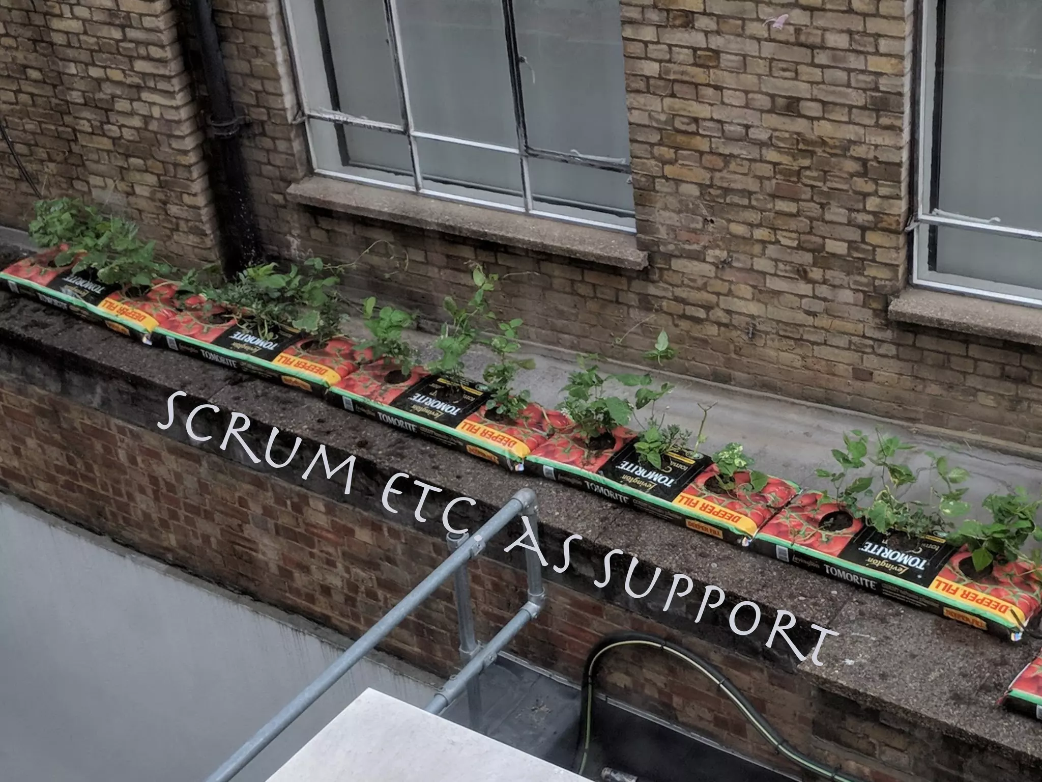 Scrum etc. as support
 