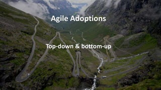 Top-down & bottom-up
Agile Adoptions
 