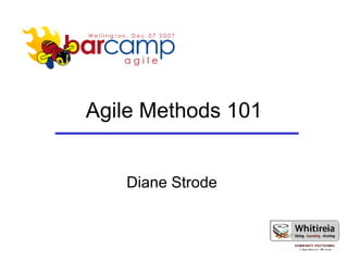 Agile Methods 101 Diane Strode  