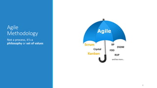 Agile
Methodology
Not a process, it’s a
philosophy or set of values
3
 