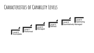 Characteristics of Capability Levels
Level 0
Level 1
Level 2
Level 3
Level 4
Level 5
Incomplete
Performed
Managed
Defined
Quantitatively Managed
Optimizing
 