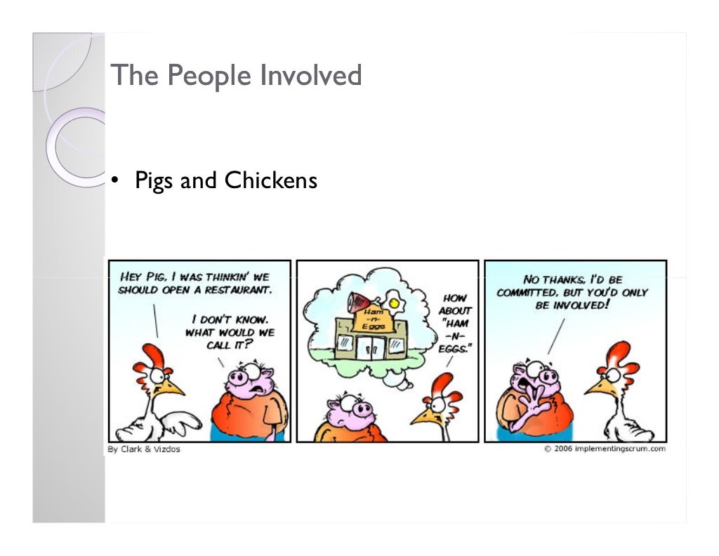 The People Involved • Pigs