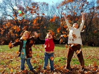 Foto por nick chapman.
 