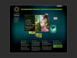 Can't we all get along? Human-centered design meets Agile