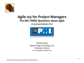 Agile 103 for Project Managers
The BIG THREE Questions about Agile
A presentation for
A presentation for
1
Copyright 2012 Square Peg Consultiing, All Rights Reserved
Produced by
Square Peg Consulting, LLC
Orlando, Florida
www.sqpegconsulting.com
 
