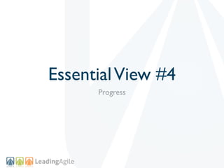 Essential View #4
      Progress
 