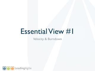 Essential View #1
   Velocity & Burndown
 
