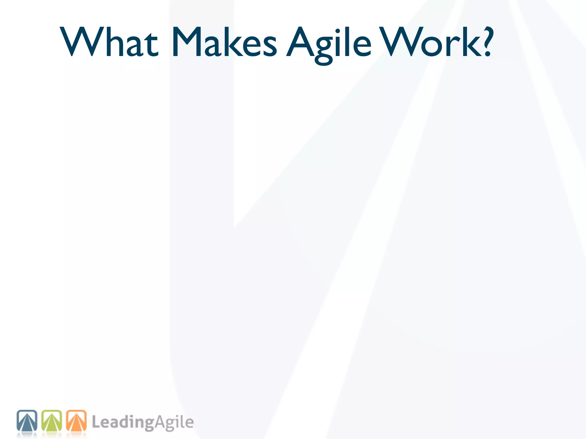 What Makes Agile Work?
 
