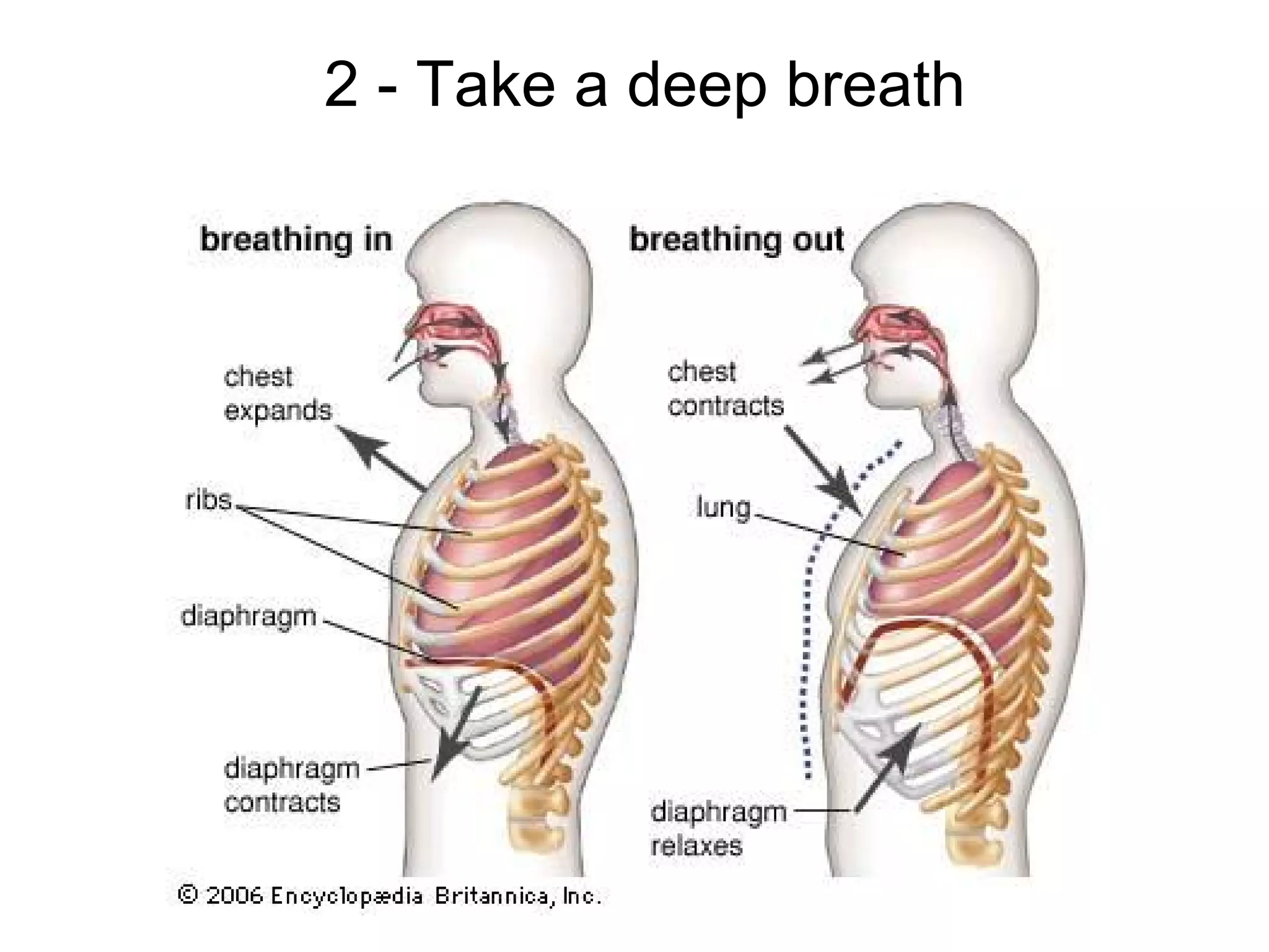 2 - Take a deep breath
 