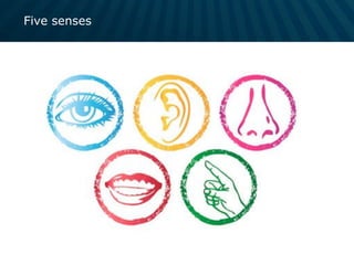 Five senses
 