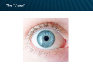 The “Visual”
 