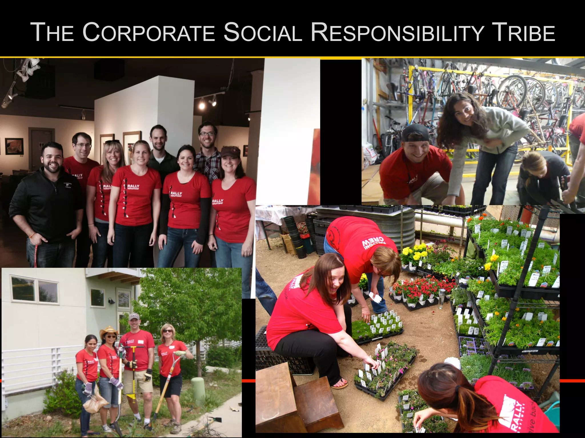 THE CORPORATE SOCIAL RESPONSIBILITY TRIBE
 