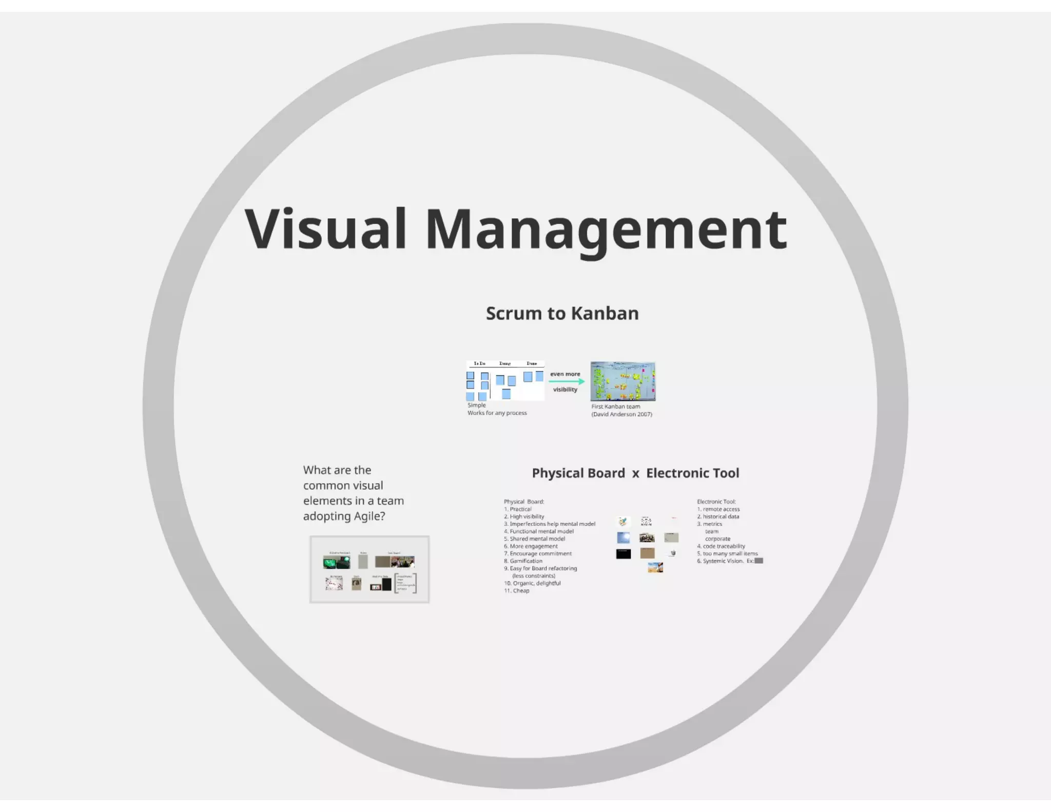Visual Management and Blind Software Developer | PDF