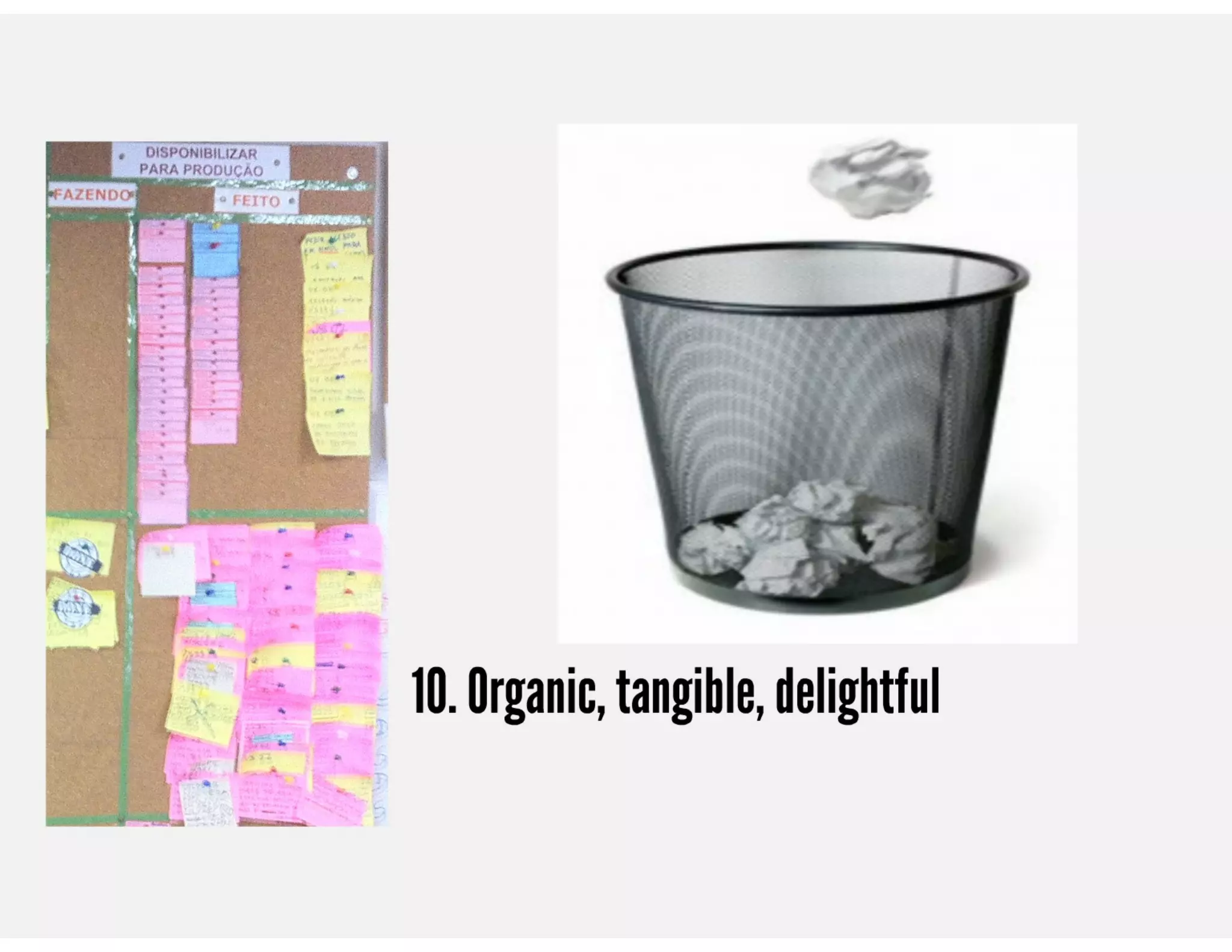 Visual Management and Blind Software Developer | PDF