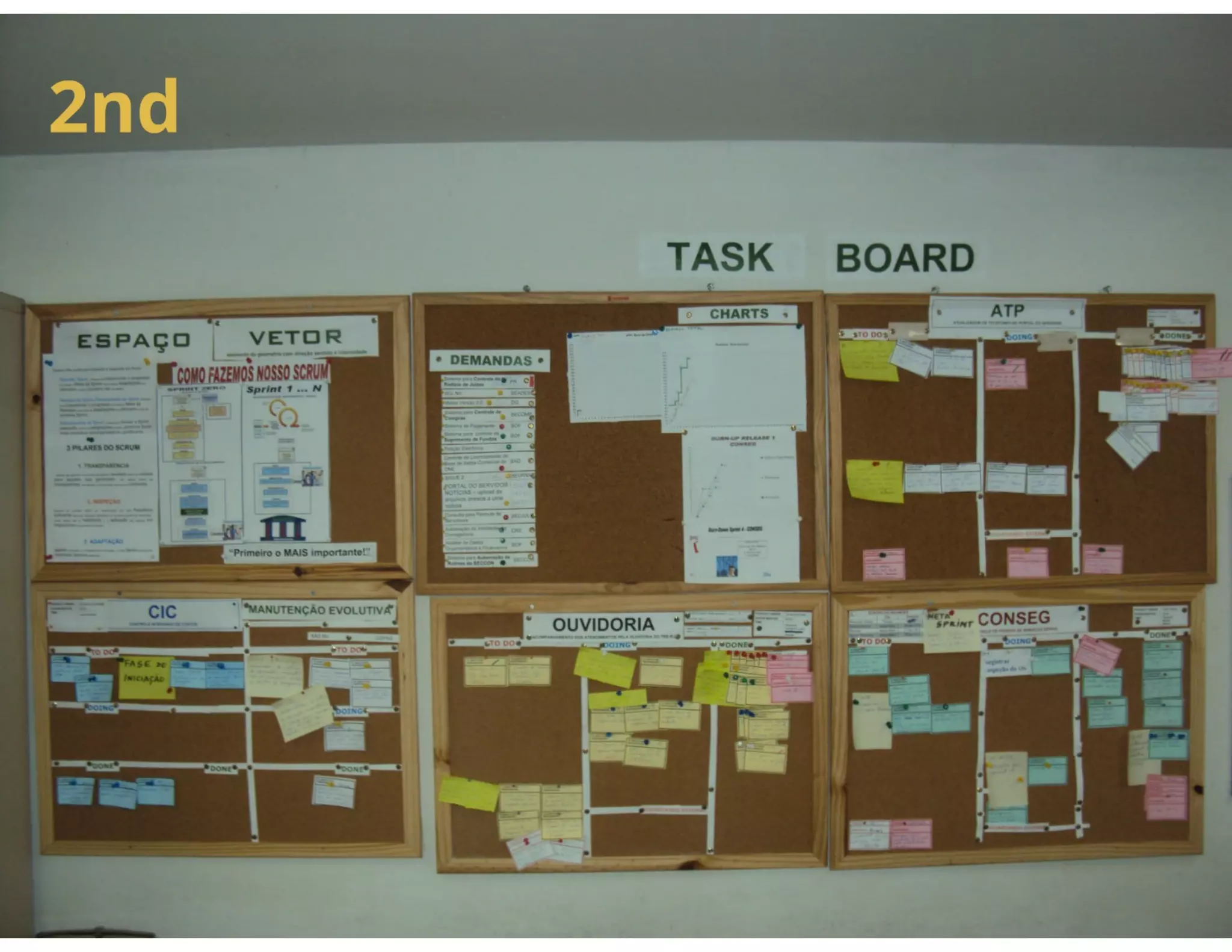 Visual Management and Blind Software Developer | PDF