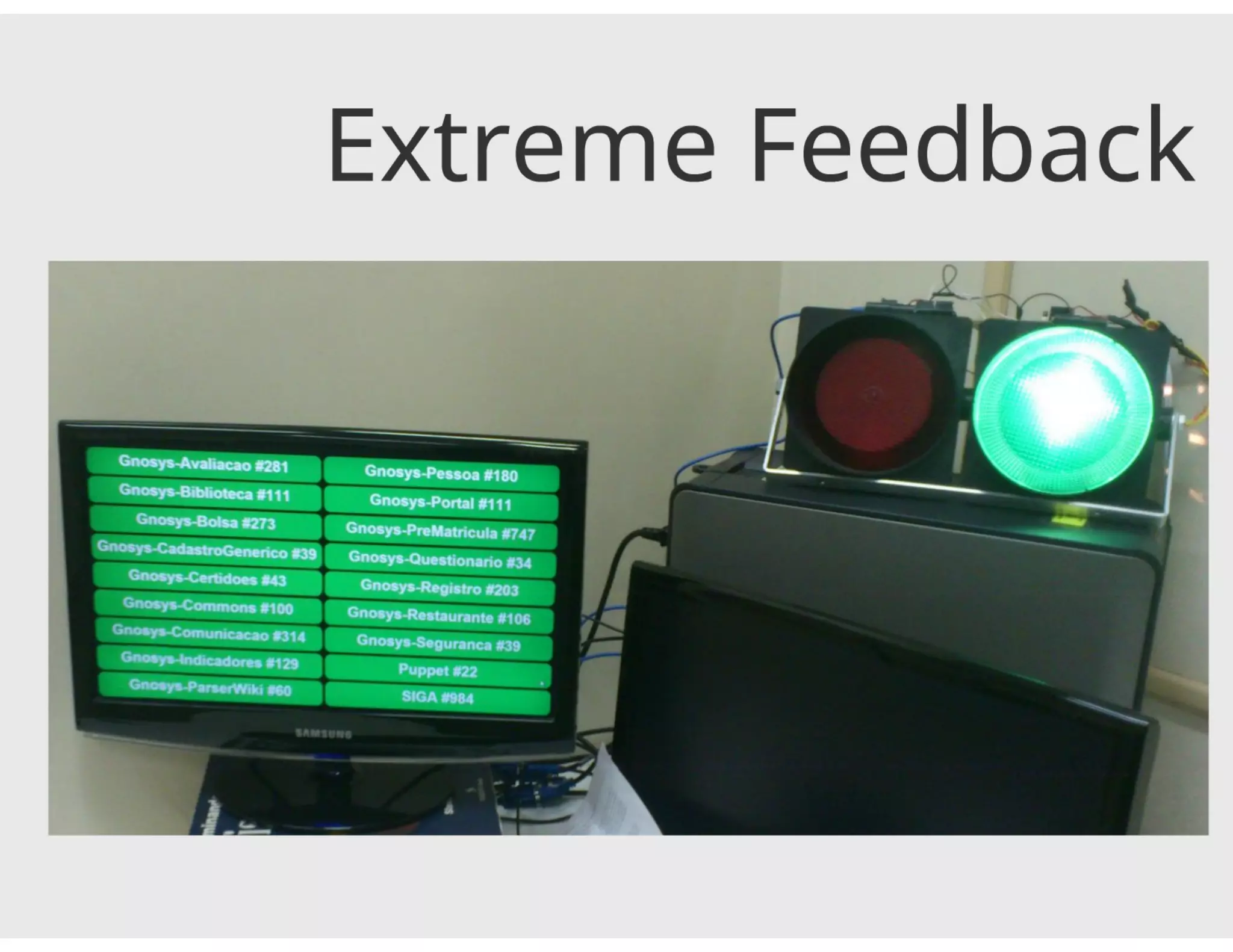 Visual Management and Blind Software Developer | PDF